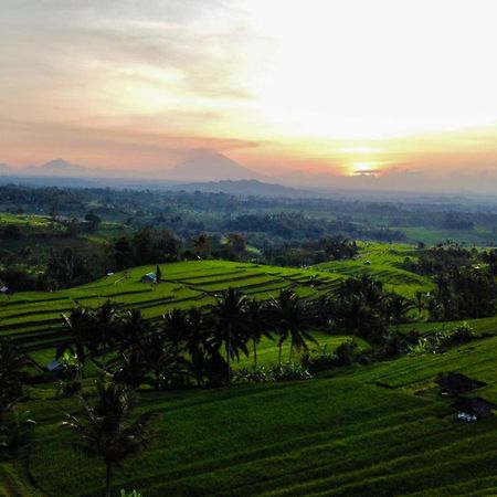 Bhuana Agung Villa And Restaurant Jatiluwih Dış mekan fotoğraf