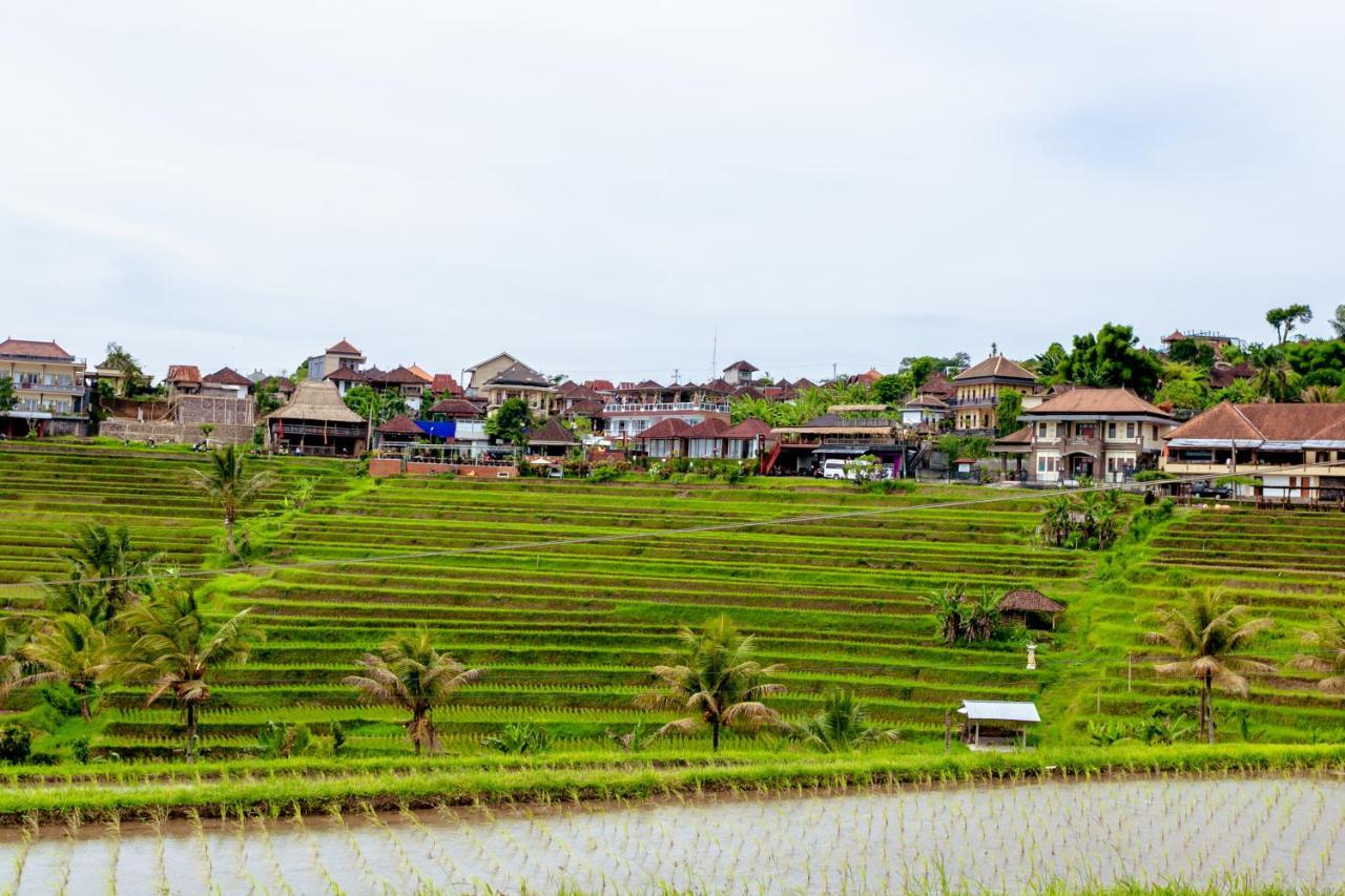 Bhuana Agung Villa And Restaurant Jatiluwih Dış mekan fotoğraf