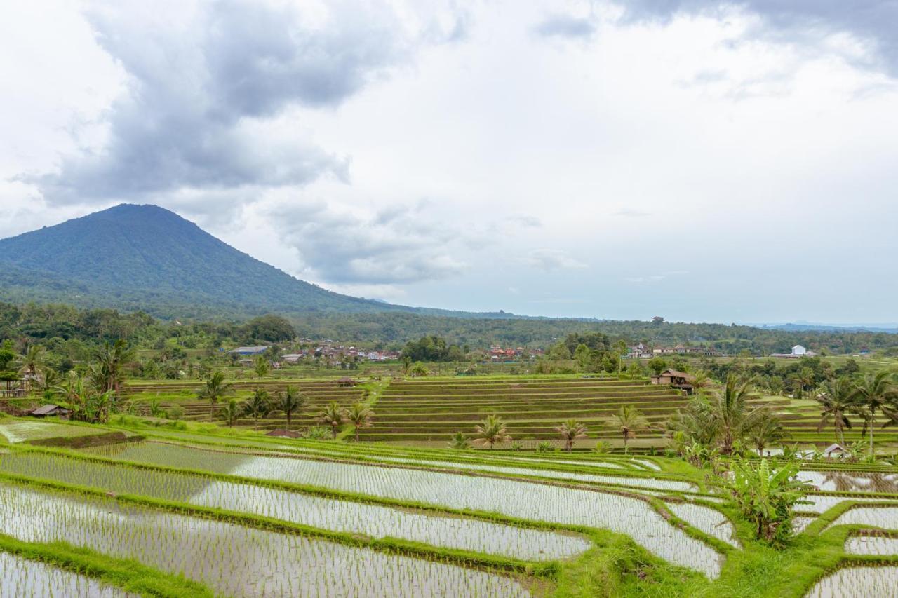 Bhuana Agung Villa And Restaurant Jatiluwih Dış mekan fotoğraf