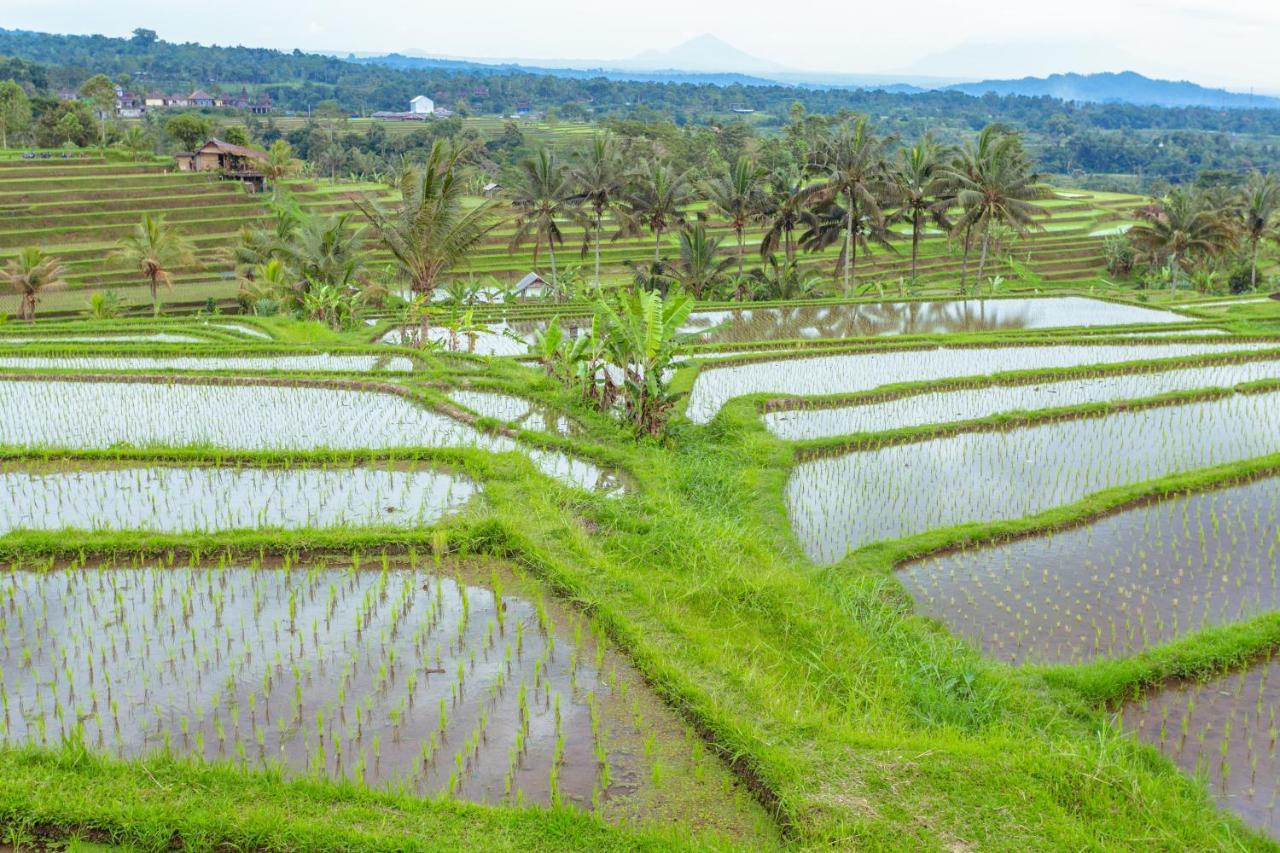 Bhuana Agung Villa And Restaurant Jatiluwih Dış mekan fotoğraf