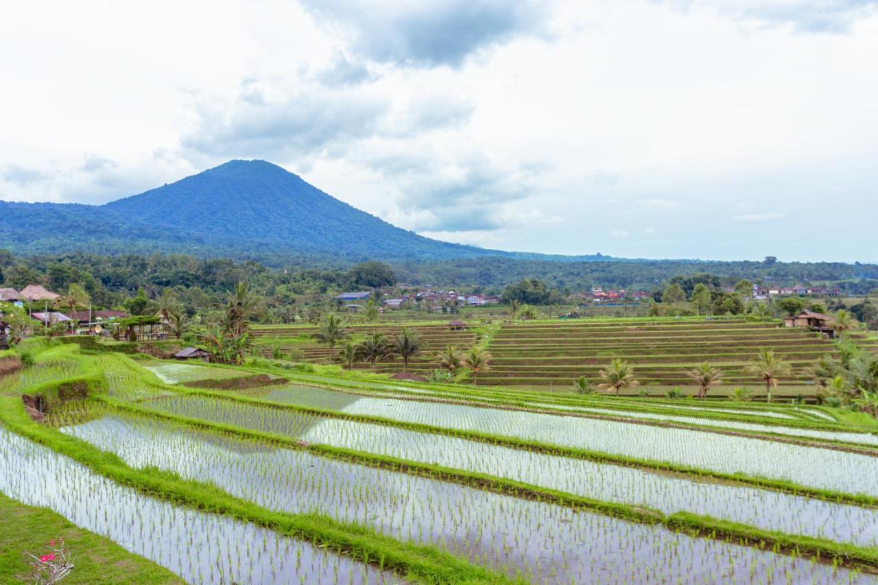 Bhuana Agung Villa And Restaurant Jatiluwih Dış mekan fotoğraf