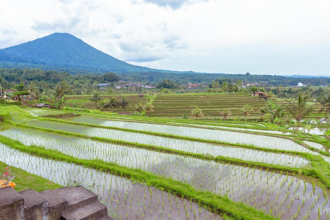 Bhuana Agung Villa And Restaurant Jatiluwih Dış mekan fotoğraf