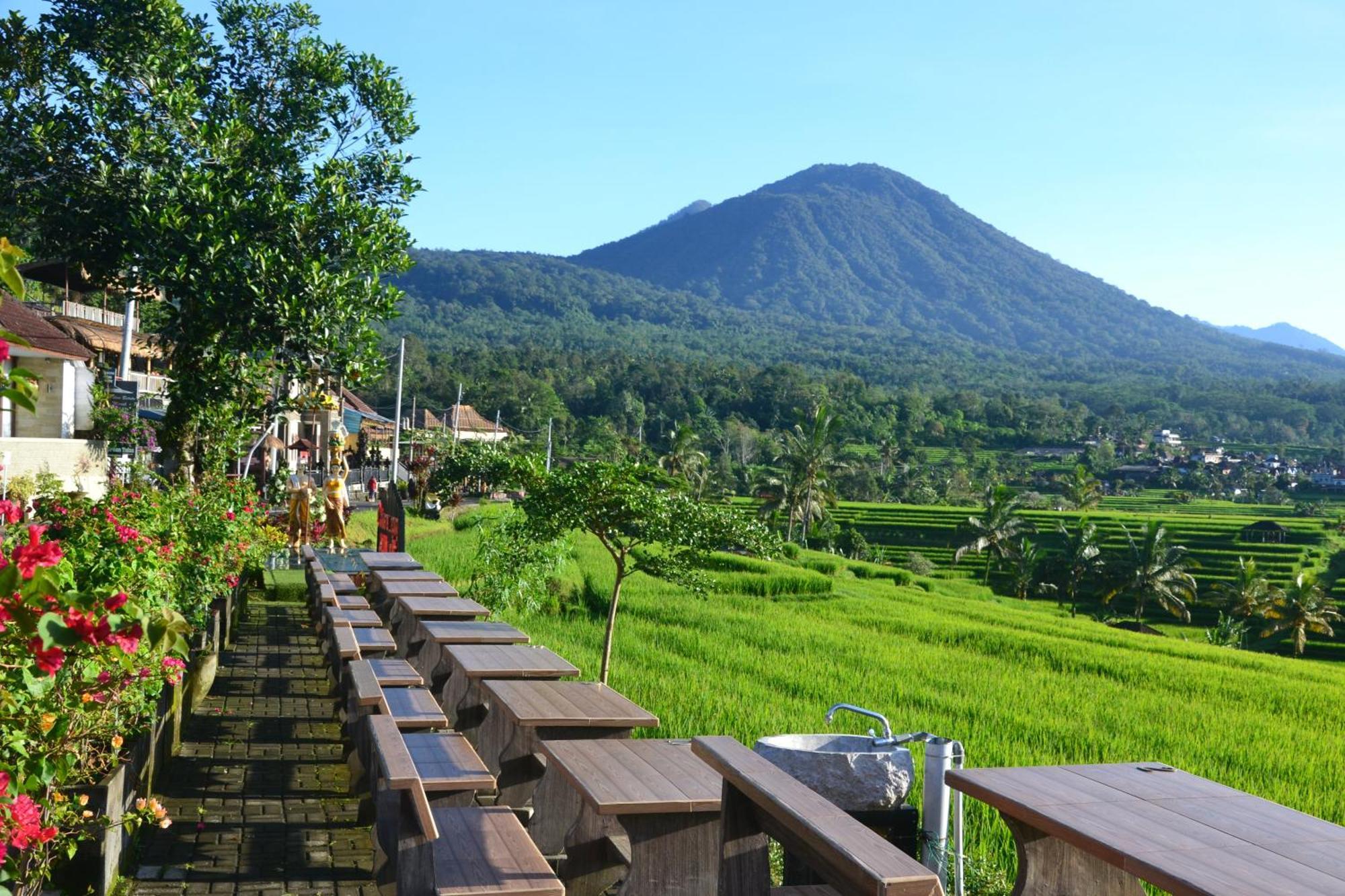 Bhuana Agung Villa And Restaurant Jatiluwih Dış mekan fotoğraf