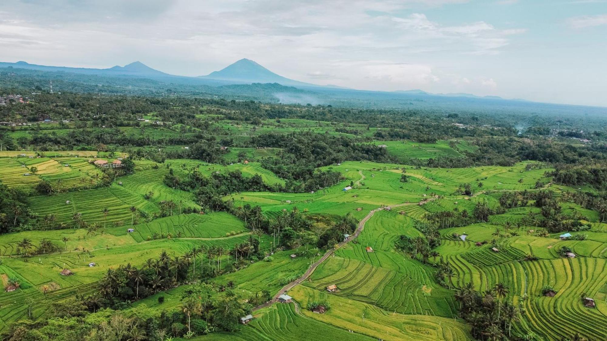 Bhuana Agung Villa And Restaurant Jatiluwih Dış mekan fotoğraf