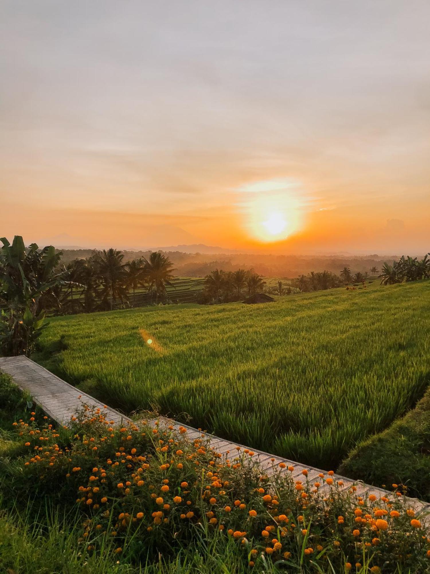 Bhuana Agung Villa And Restaurant Jatiluwih Dış mekan fotoğraf