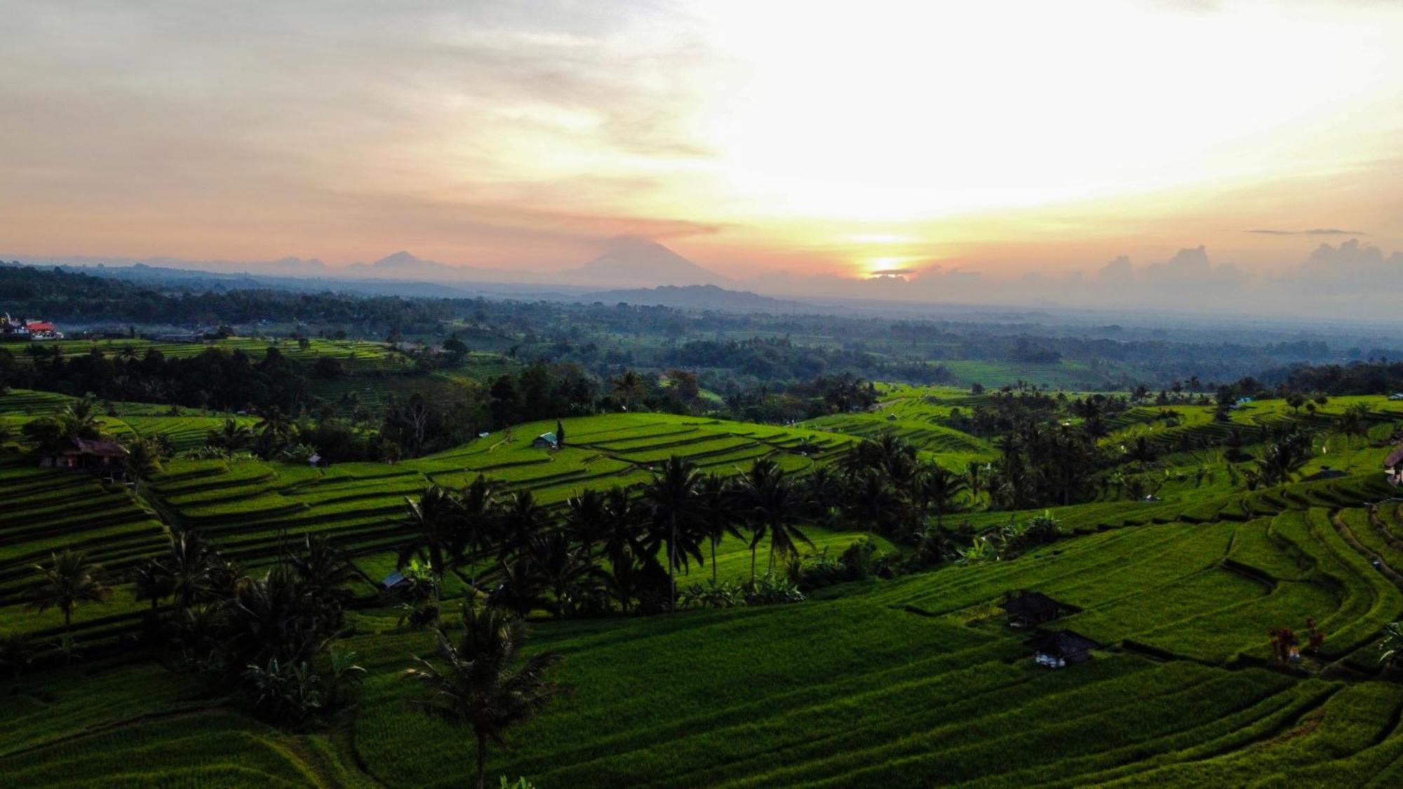 Bhuana Agung Villa And Restaurant Jatiluwih Dış mekan fotoğraf