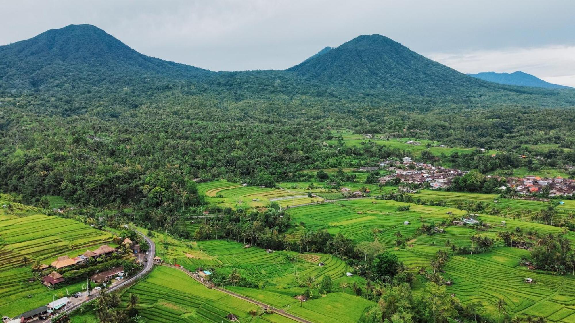 Bhuana Agung Villa And Restaurant Jatiluwih Dış mekan fotoğraf