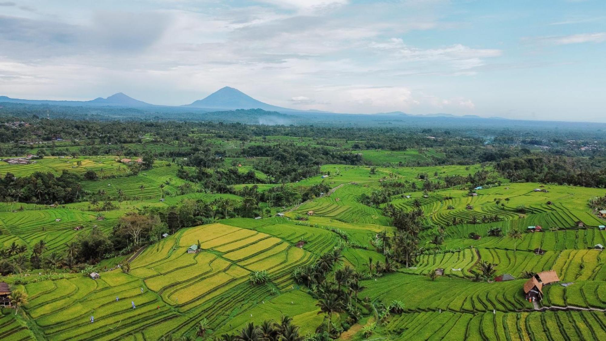 Bhuana Agung Villa And Restaurant Jatiluwih Dış mekan fotoğraf